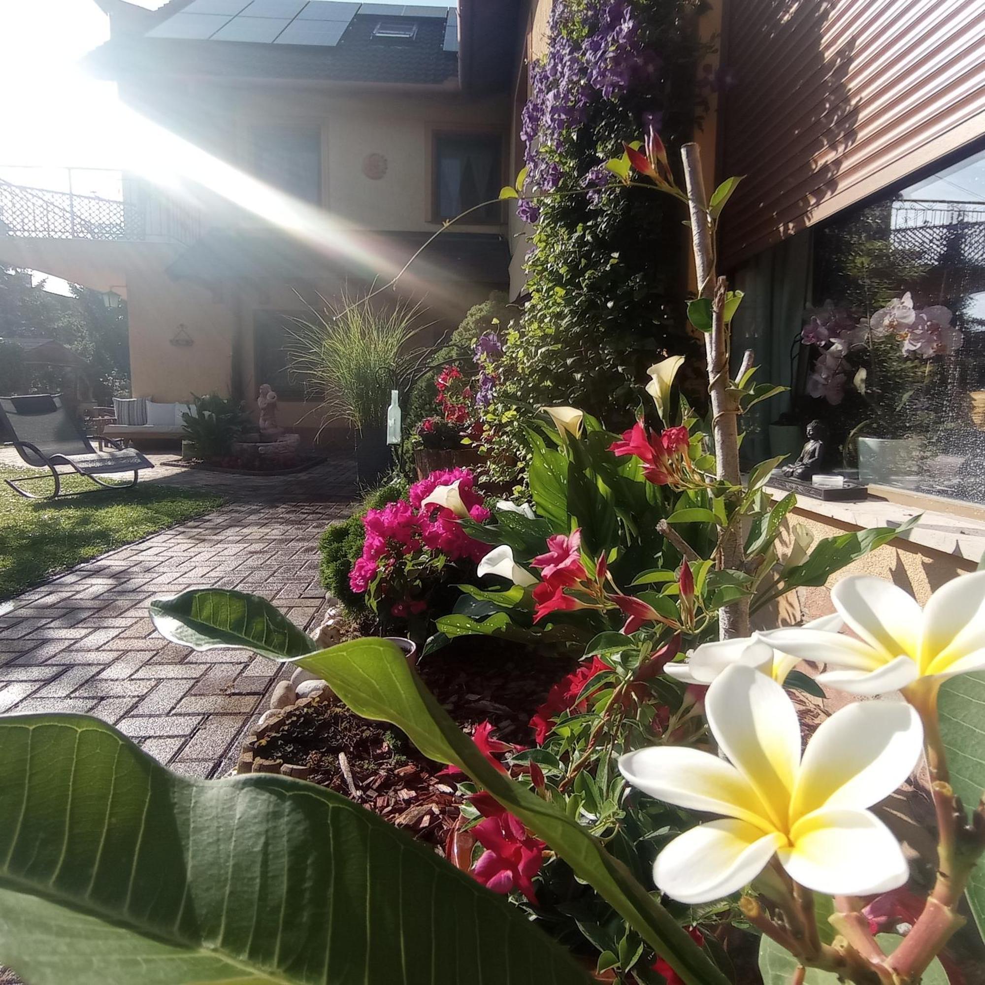 Rozsa Apartman Alsoors Exterior photo
